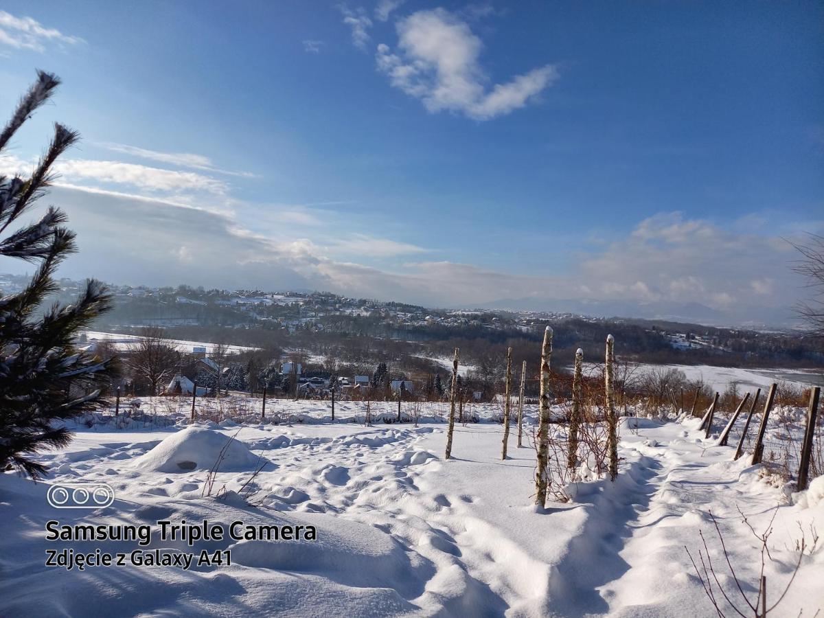 Beskidy Apartment Zywiec